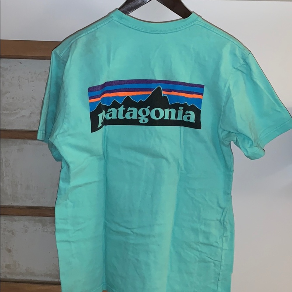 Basic Patagonia tee